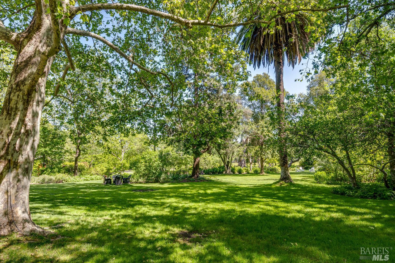 Property photo 43