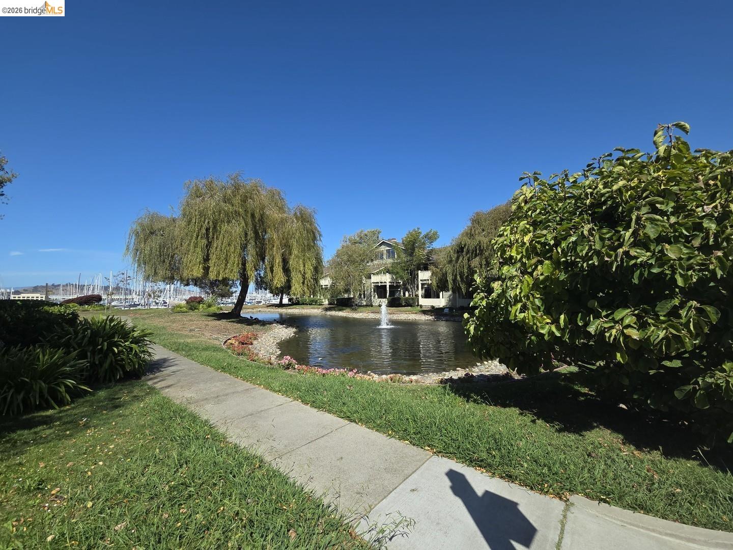 Property photo 39