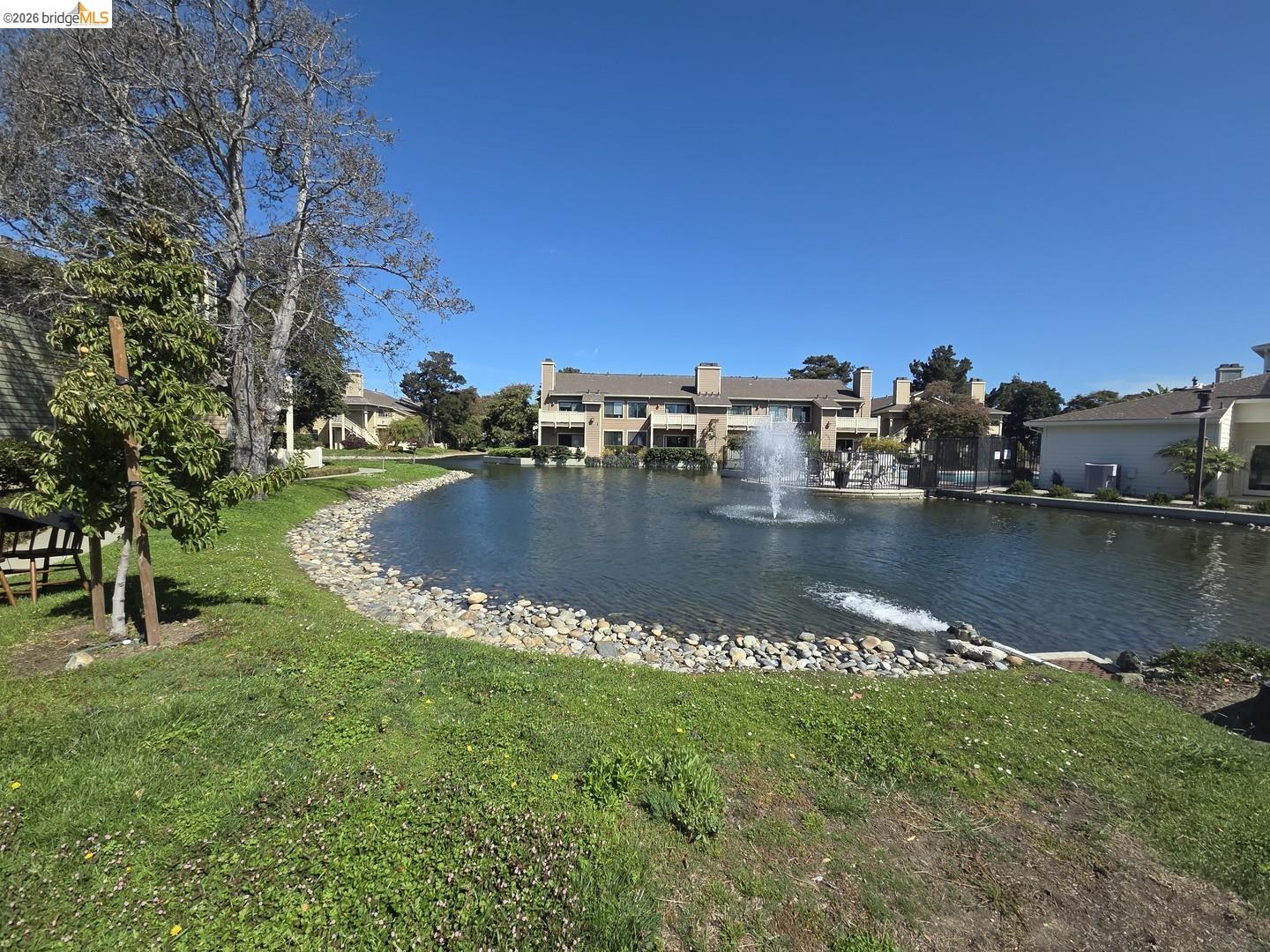 Property photo 41