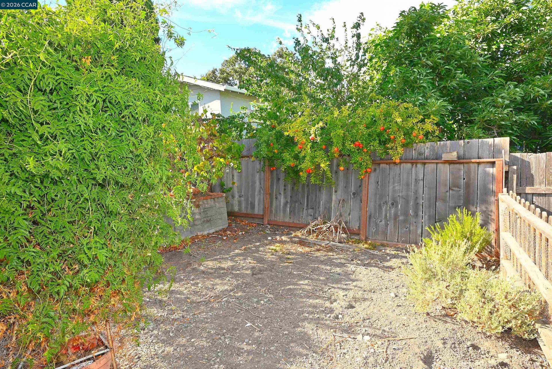 Property photo 32