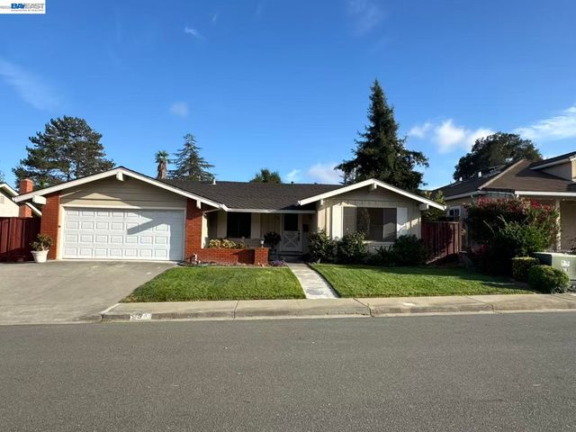 Property photo 47
