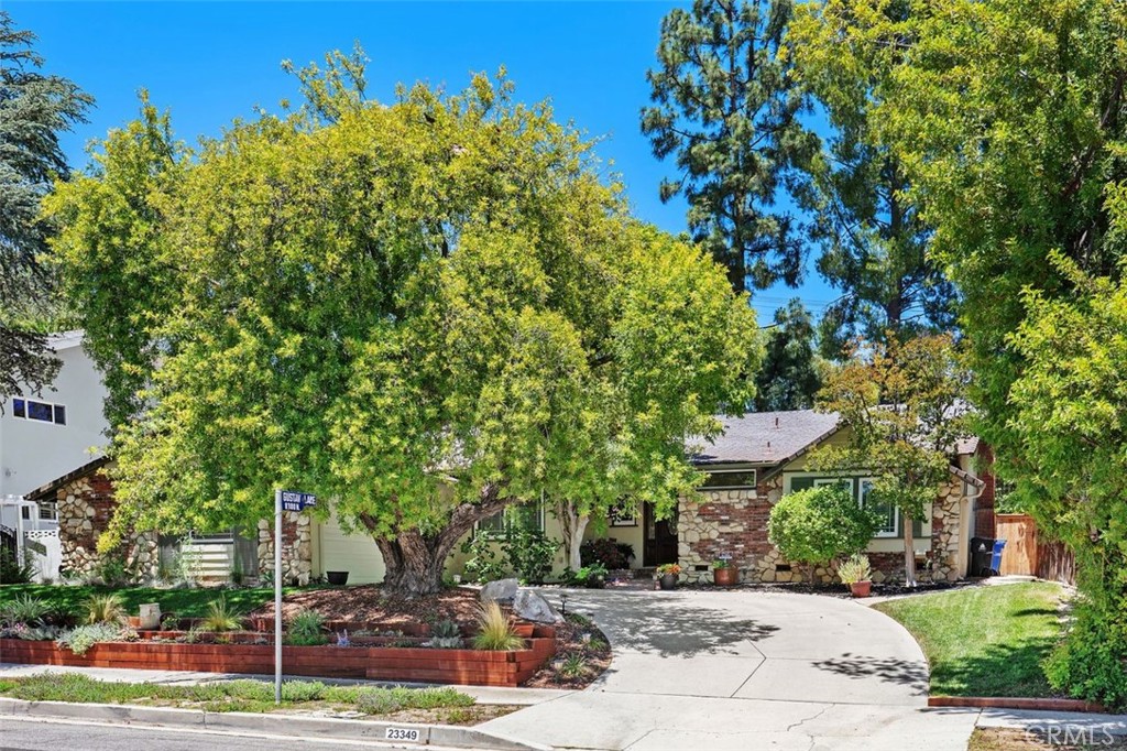 Property photo 42