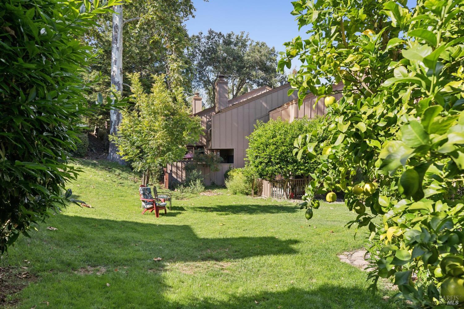 Property photo 43
