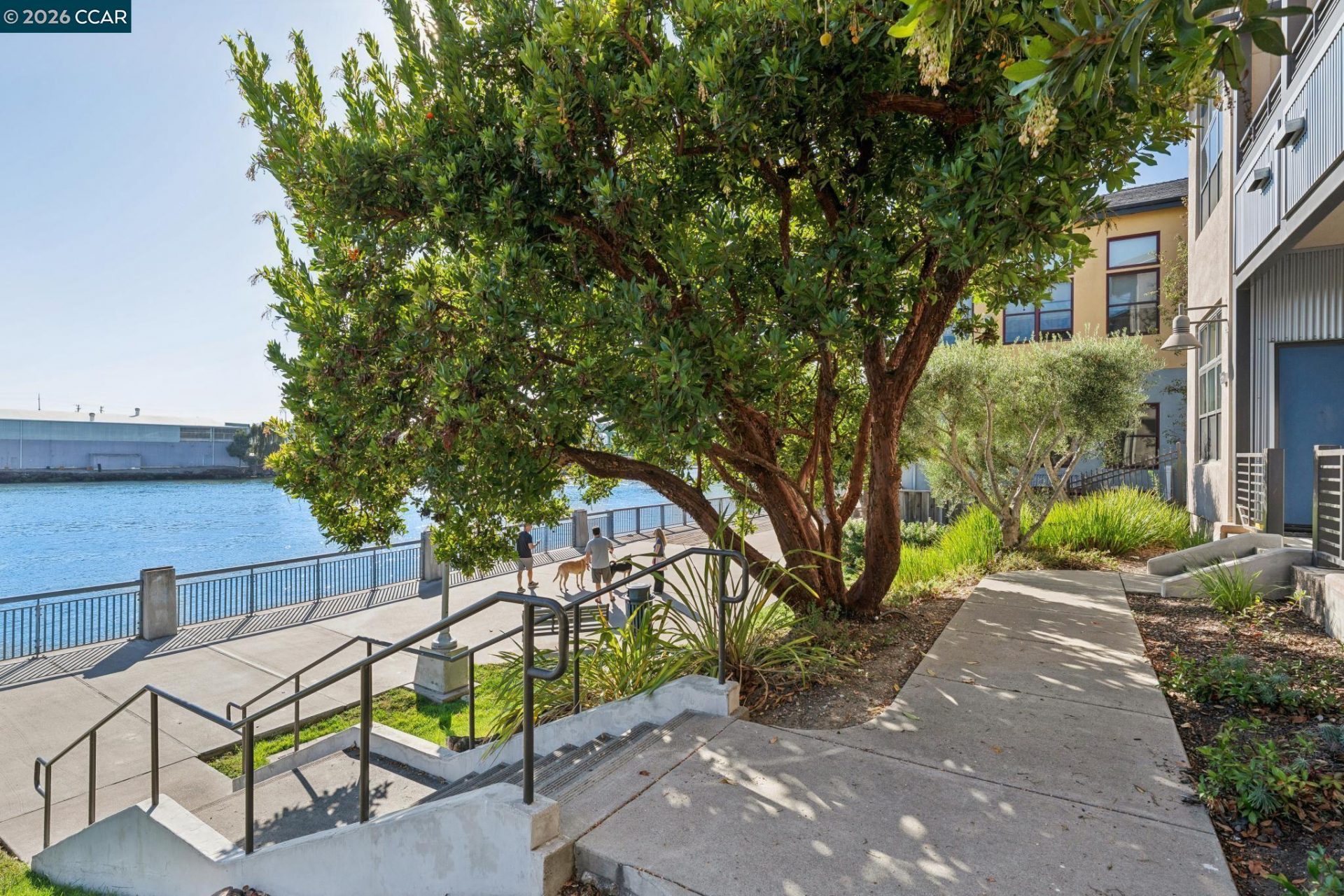 Property photo 42