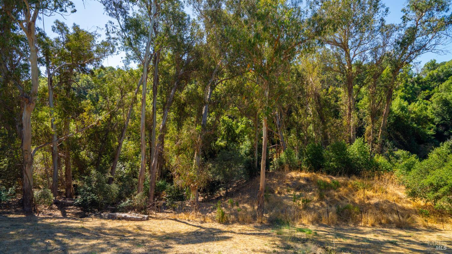 Property photo 27