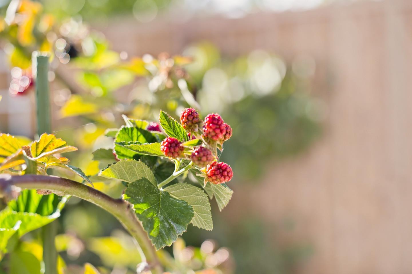 Property photo 26