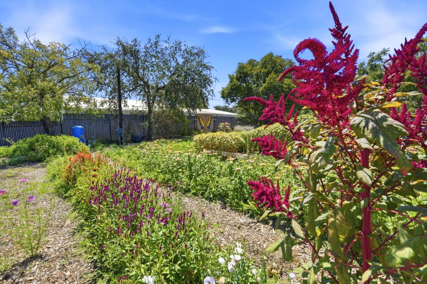 Property photo 19