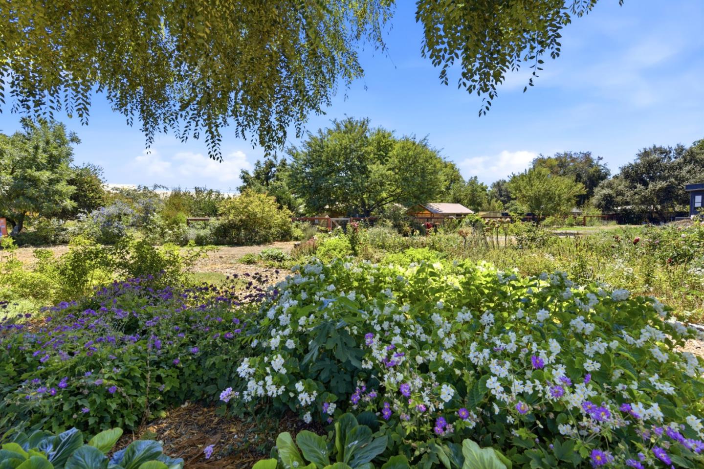 Property photo 21