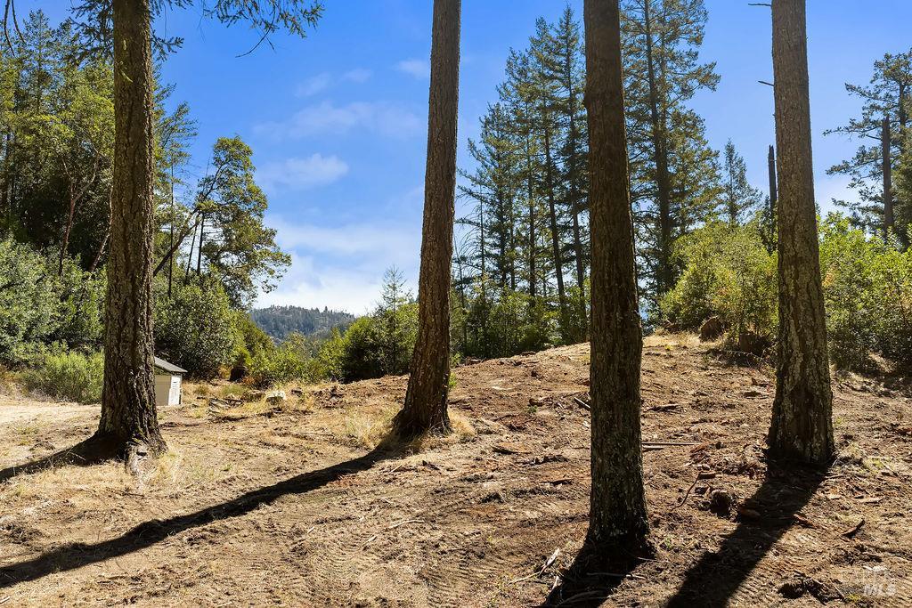 Property photo 19