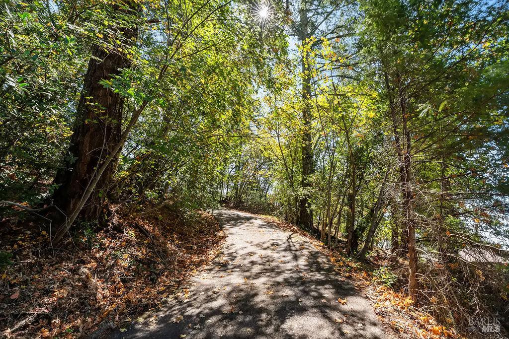 Property photo 37