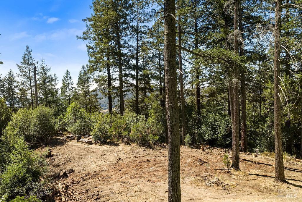 Property photo 47