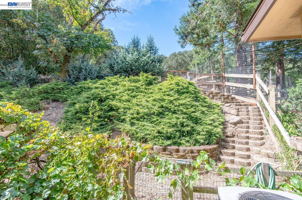 Property photo 51