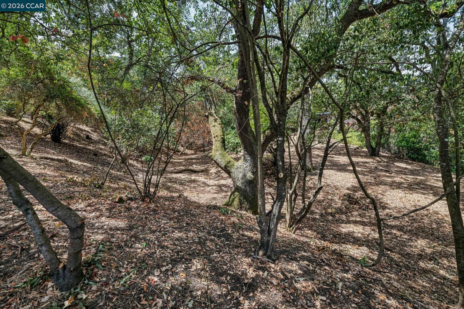 Property photo 20
