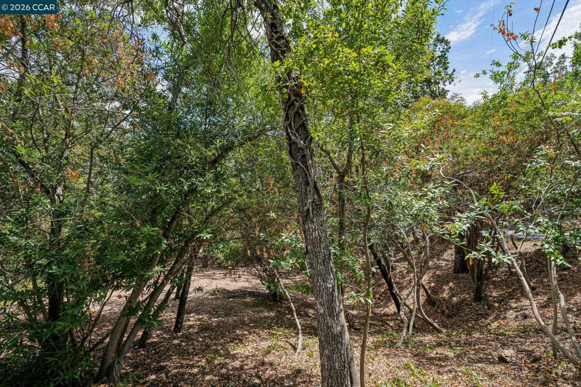 Property photo 22
