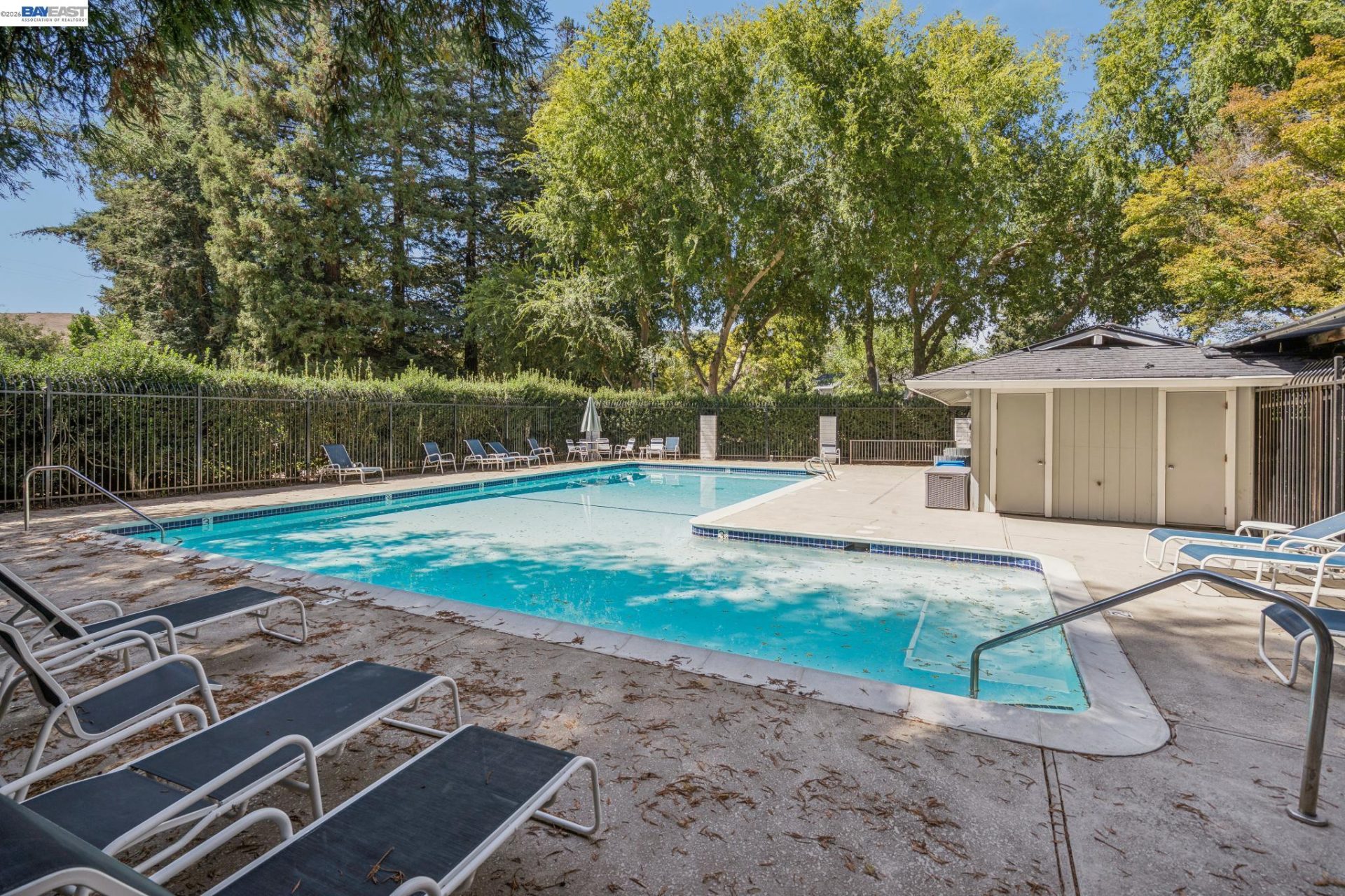 Property photo 37