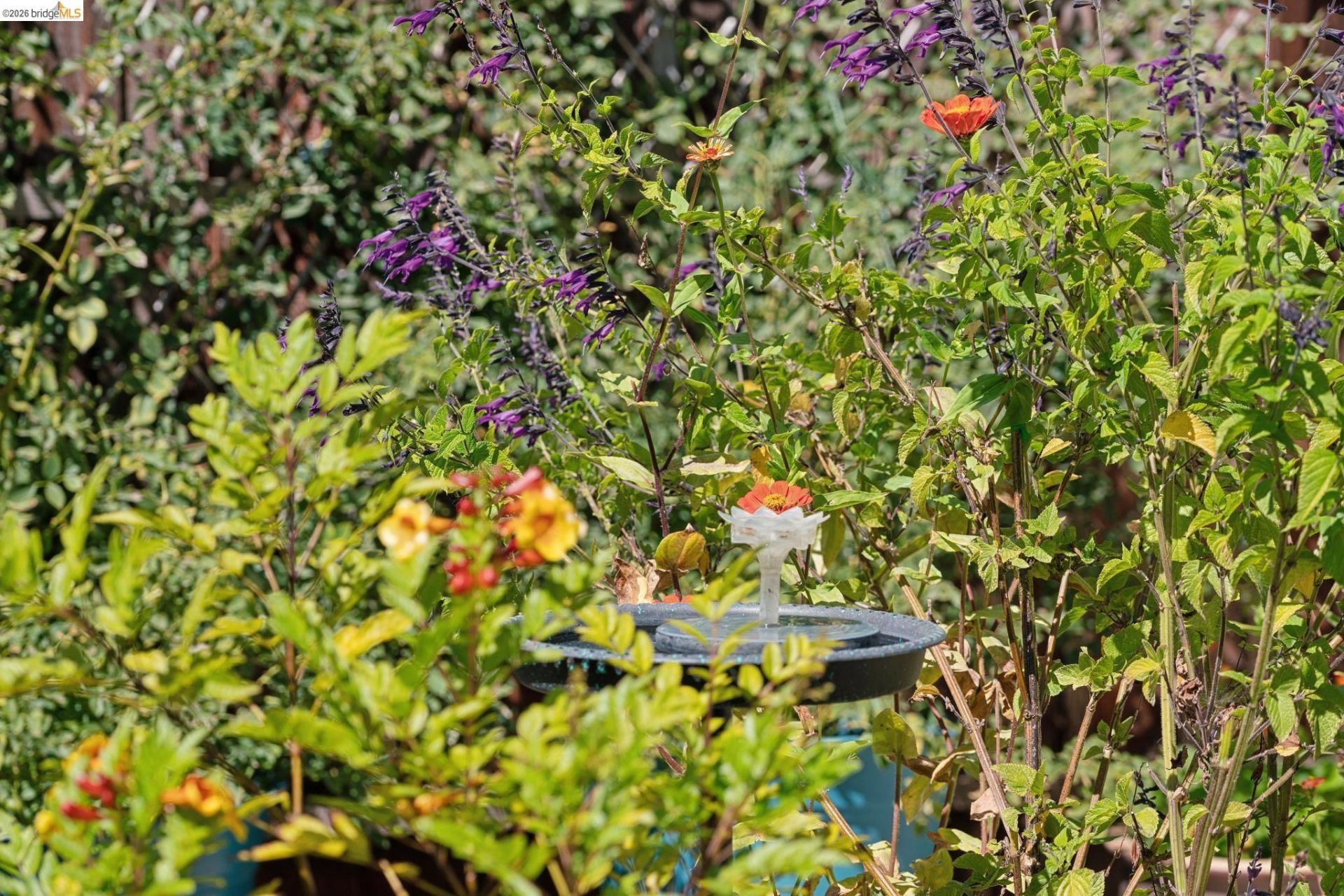 Property photo 38