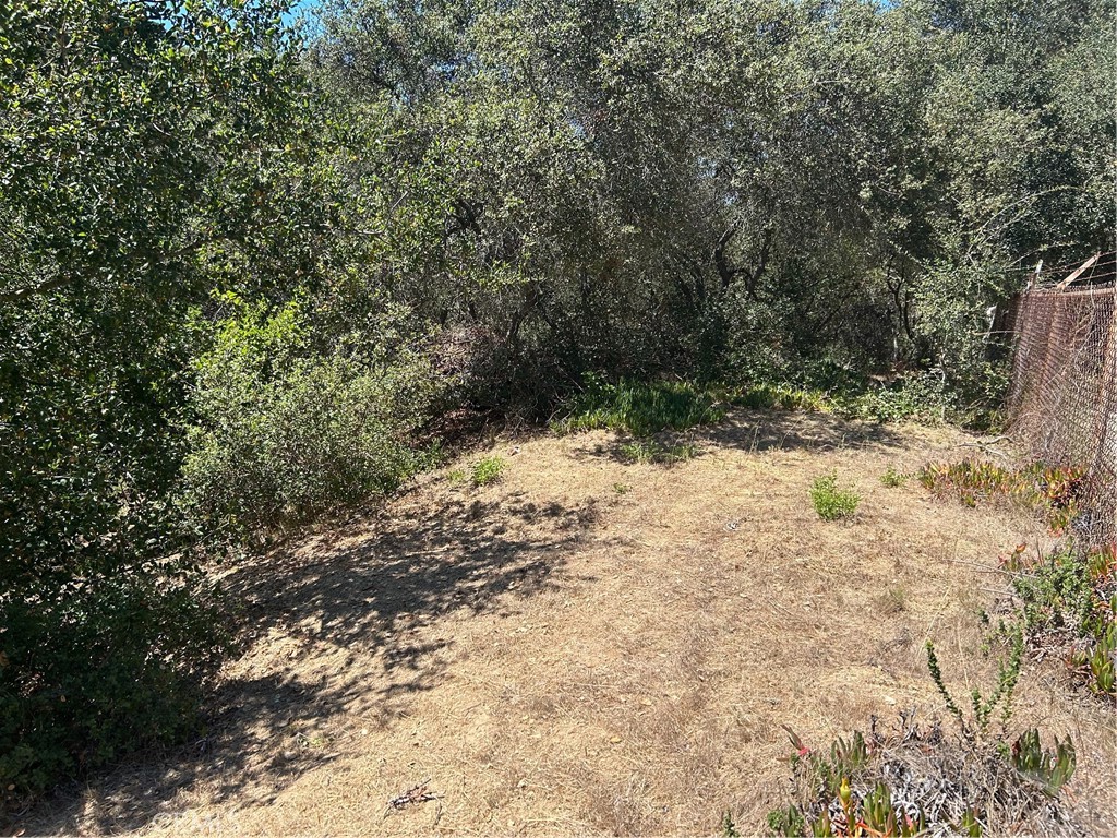 Property photo 21