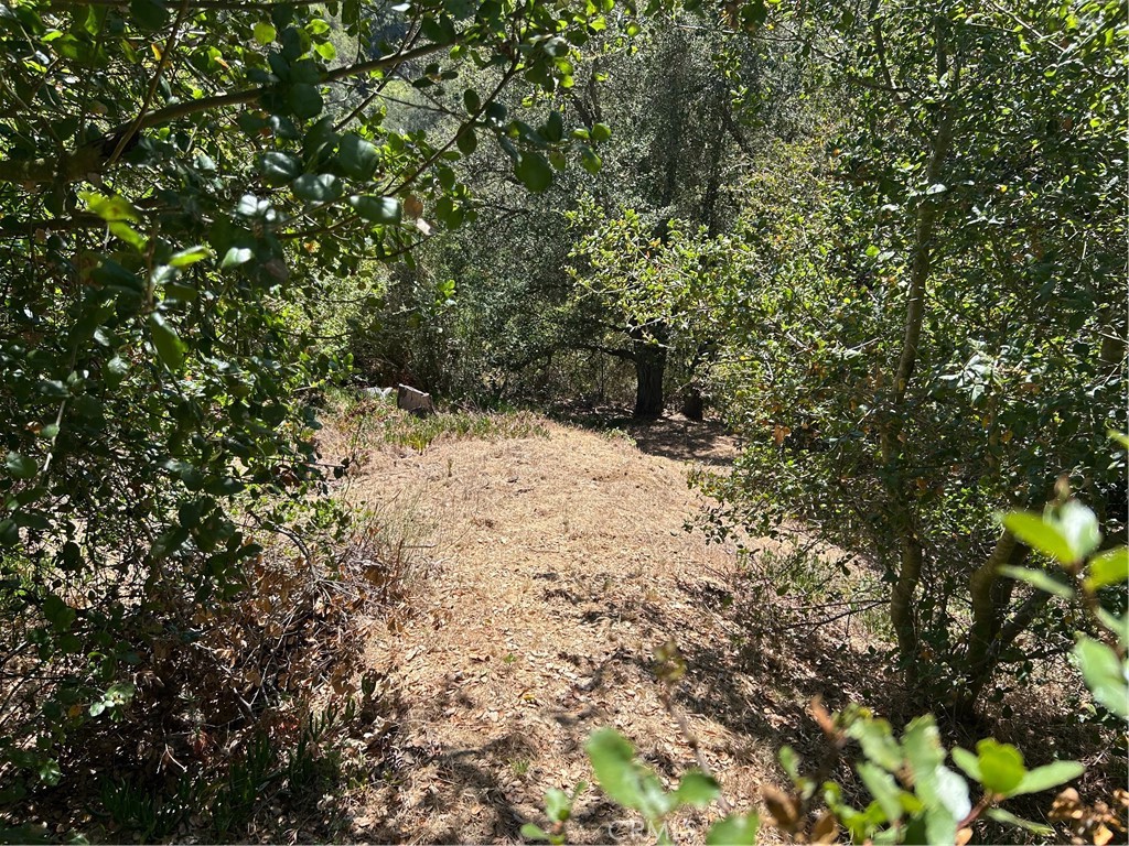 Property photo 22