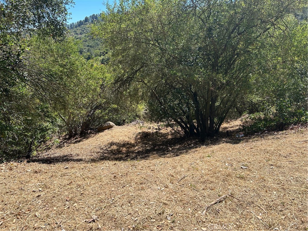 Property photo 24