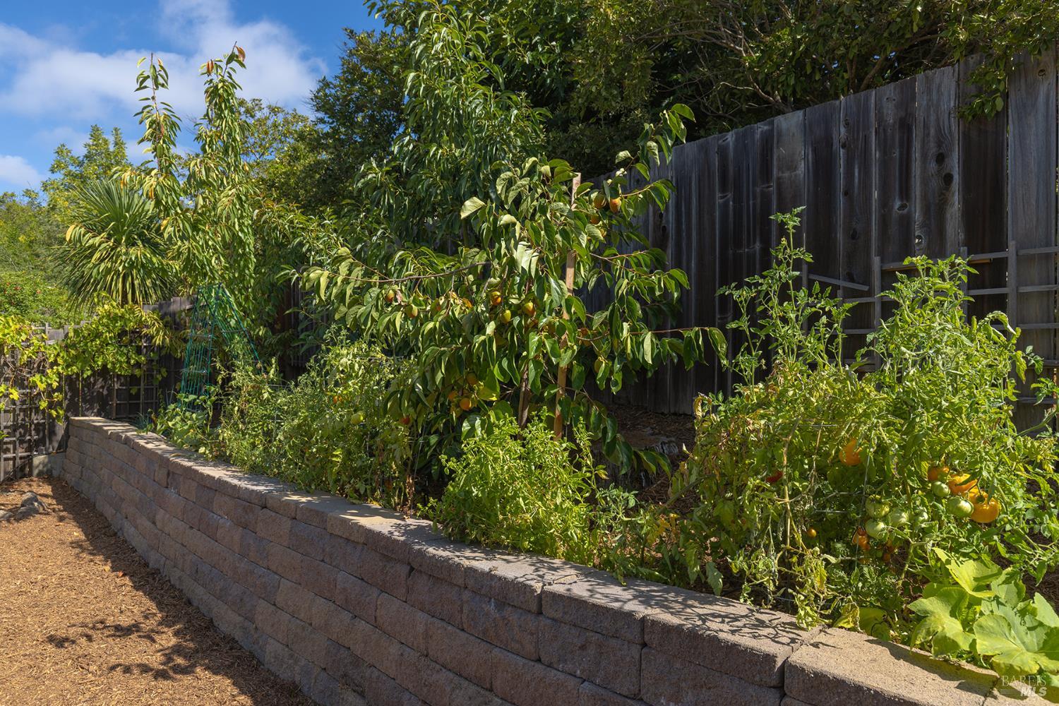 Property photo 41