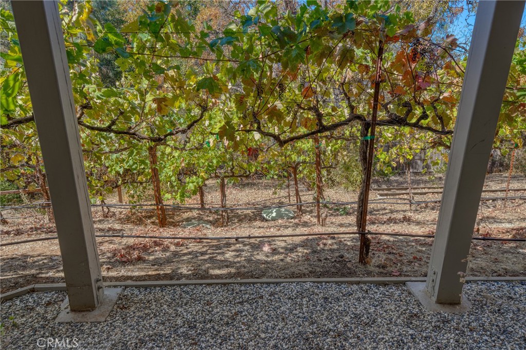 Property photo 50