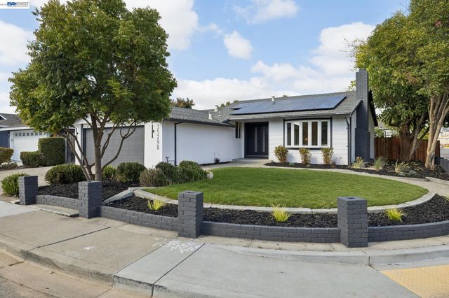 Property photo 46