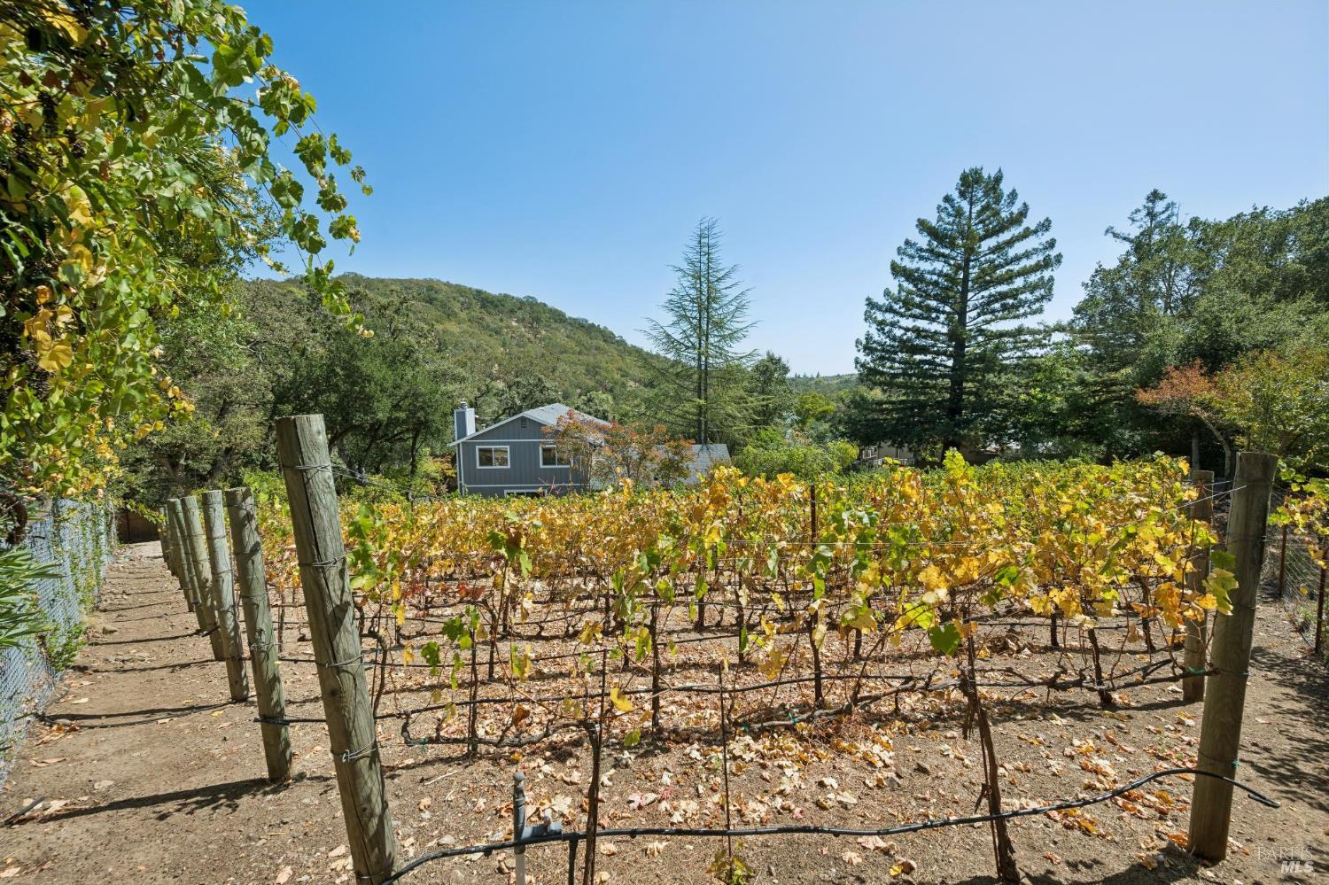 Property photo 36