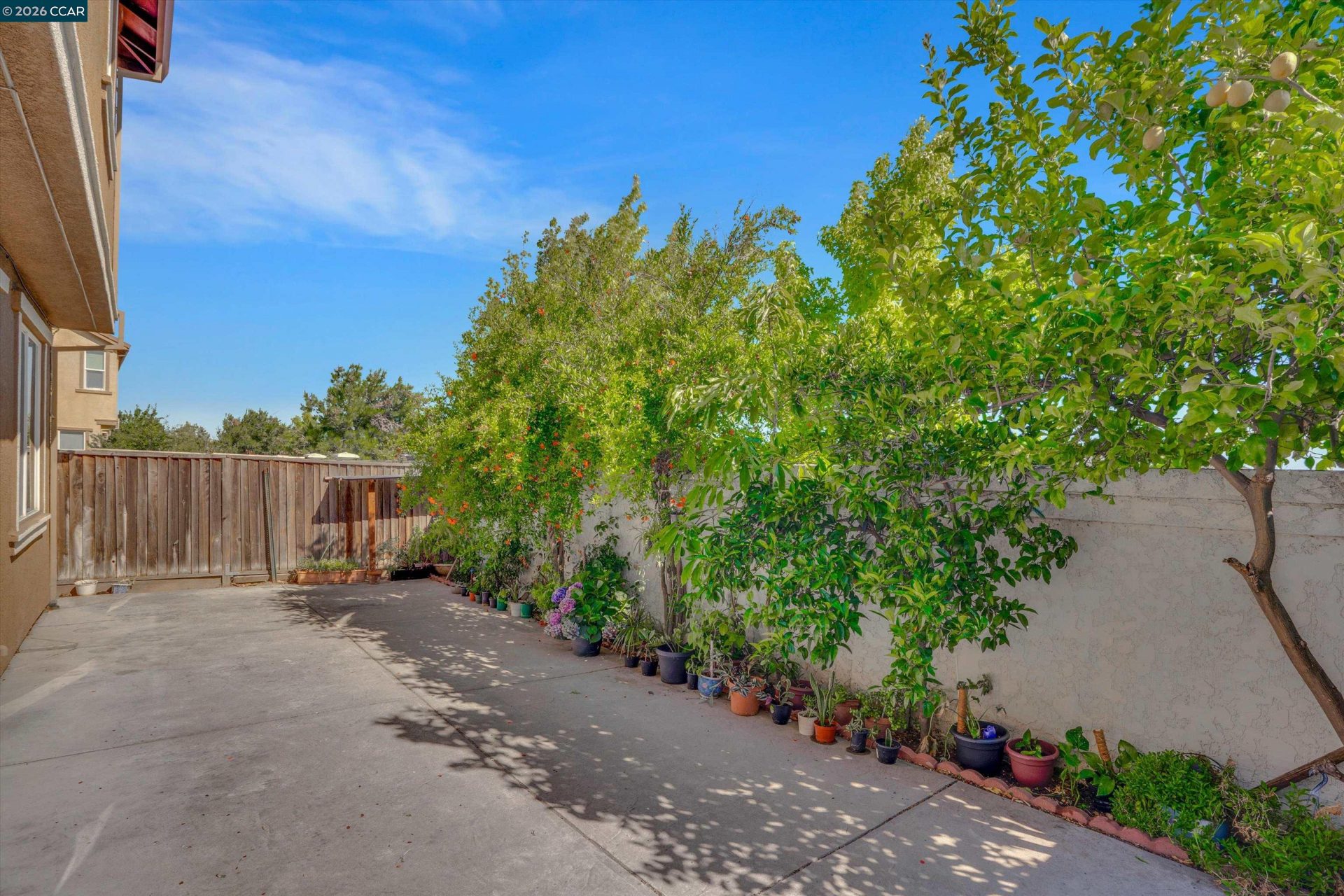 Property photo 34
