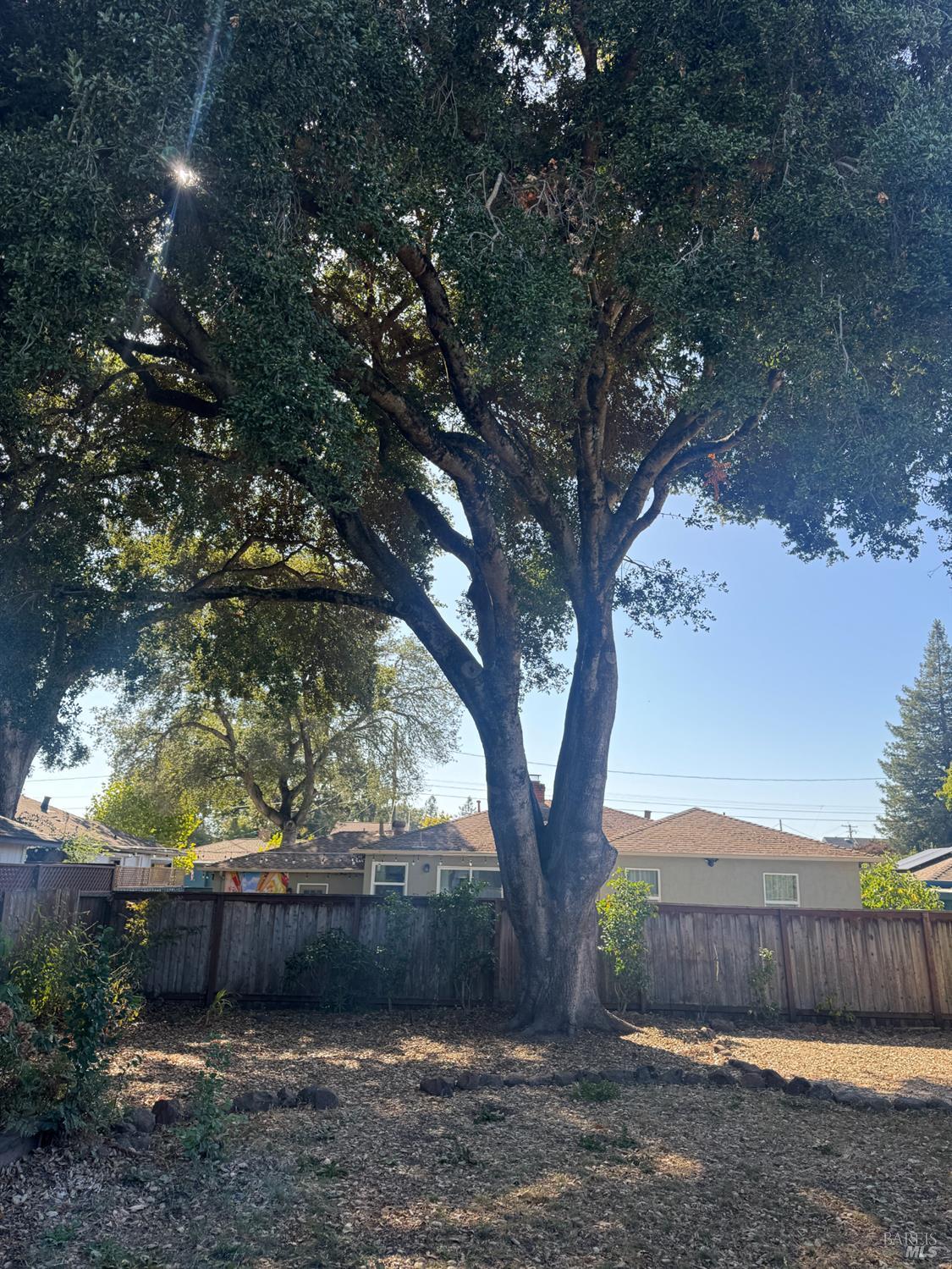 Property photo 46