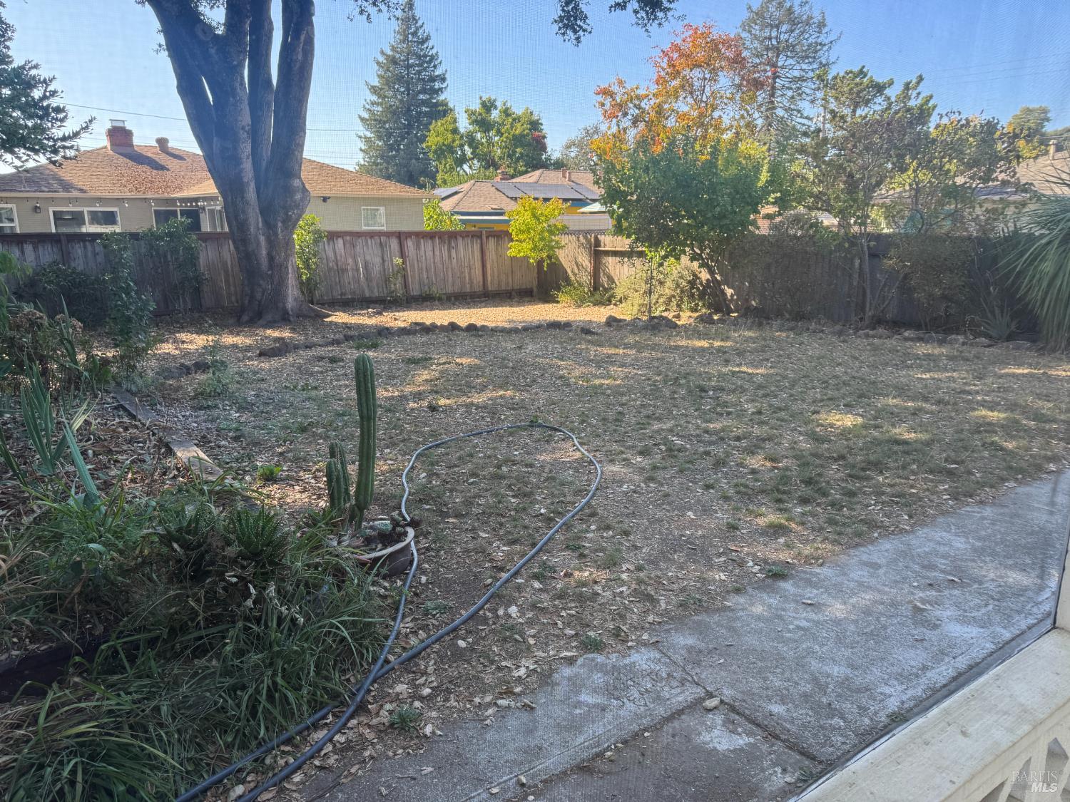 Property photo 49