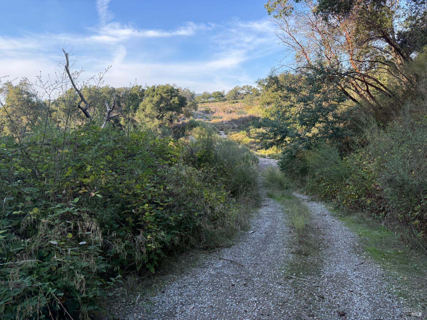 Property photo 43