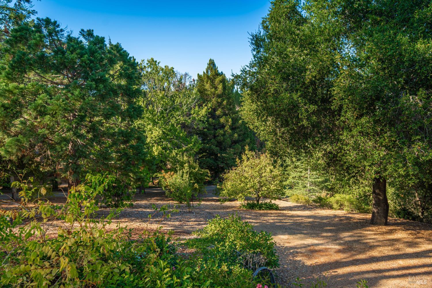 Property photo 43