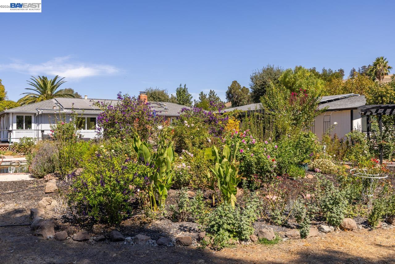 Property photo 39