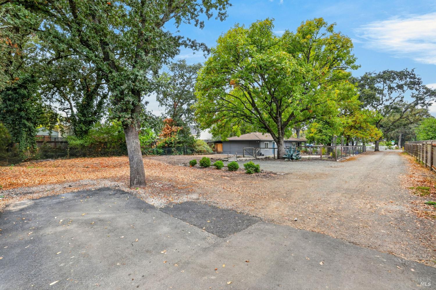 Property photo 41