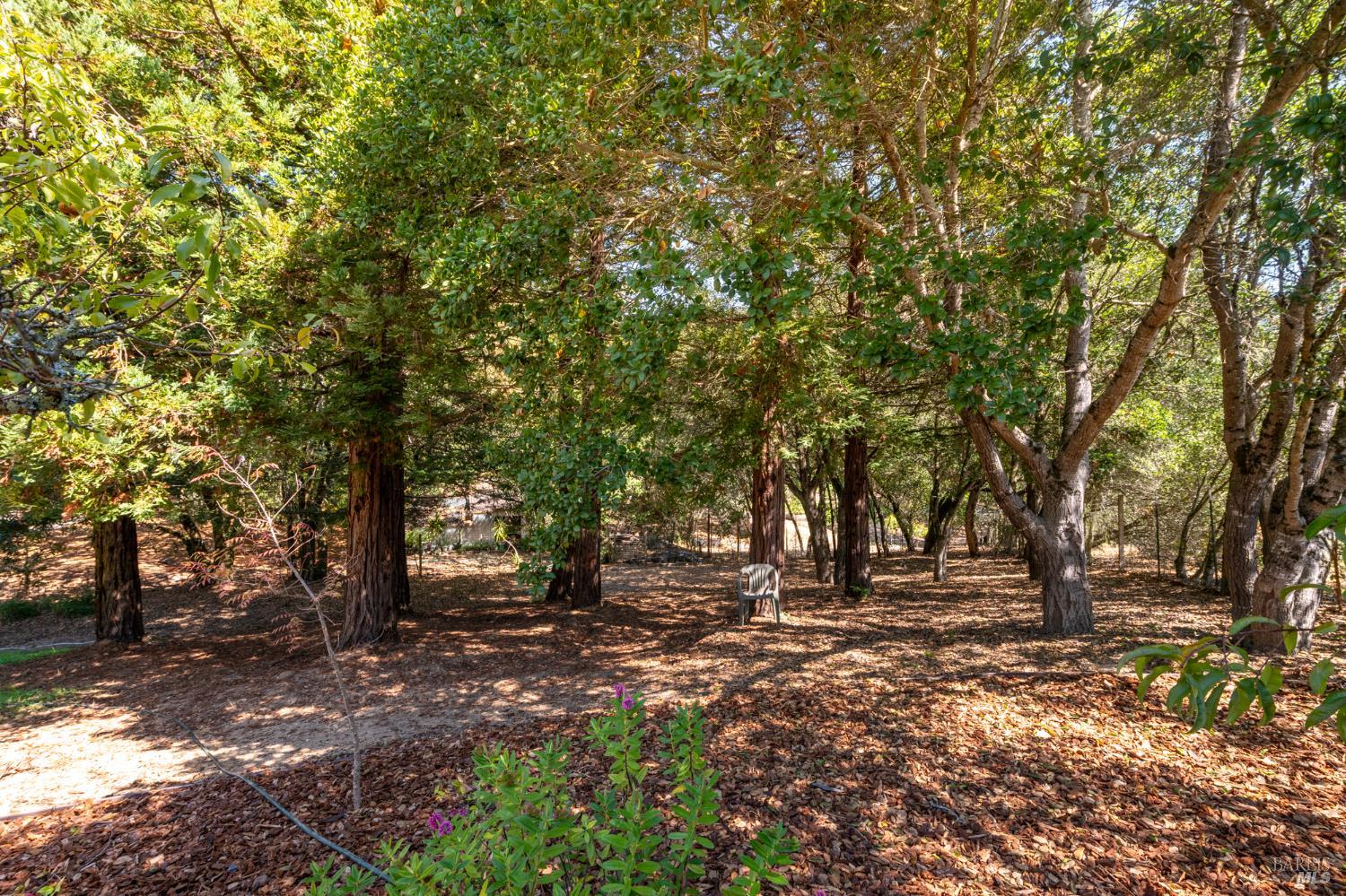 Property photo 47