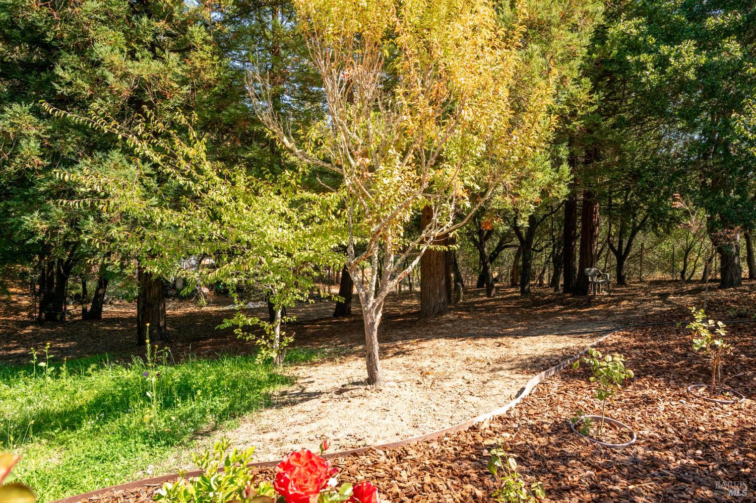 Property photo 48
