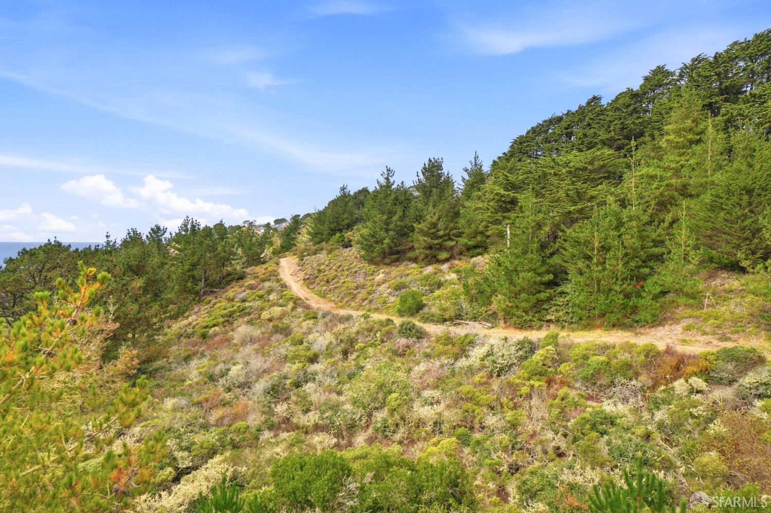 Property photo 51