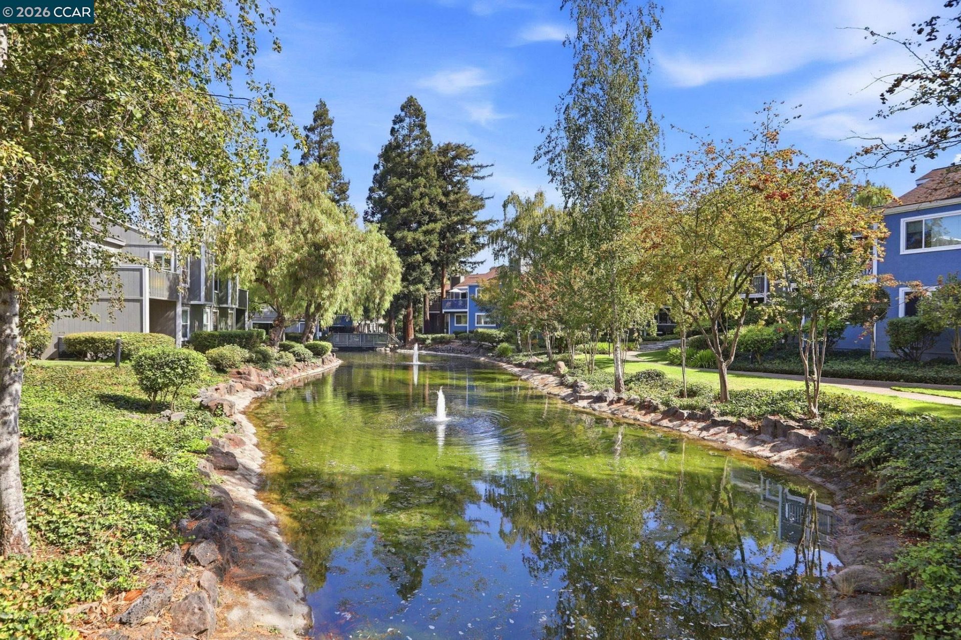 Property photo 44