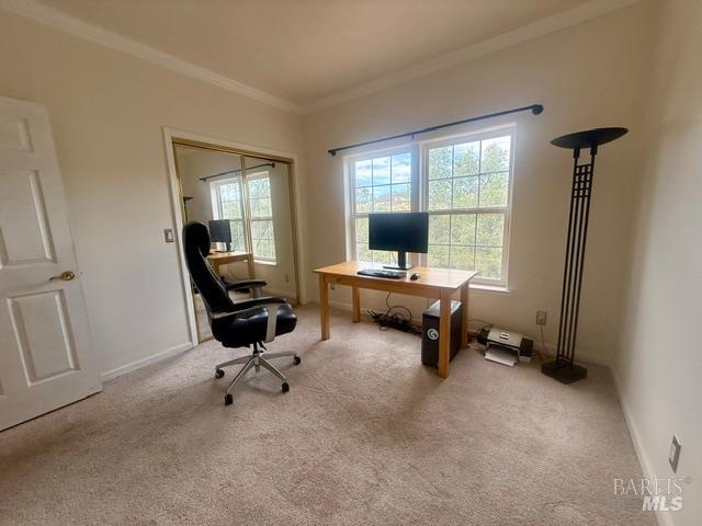 Property photo 14
