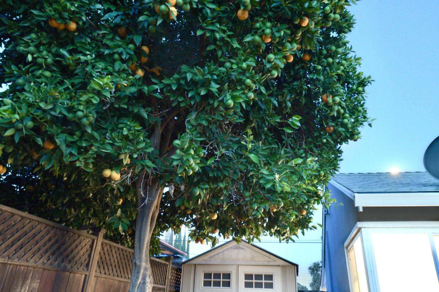 Property photo 32