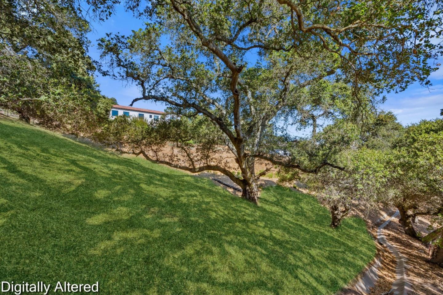 Property photo 21