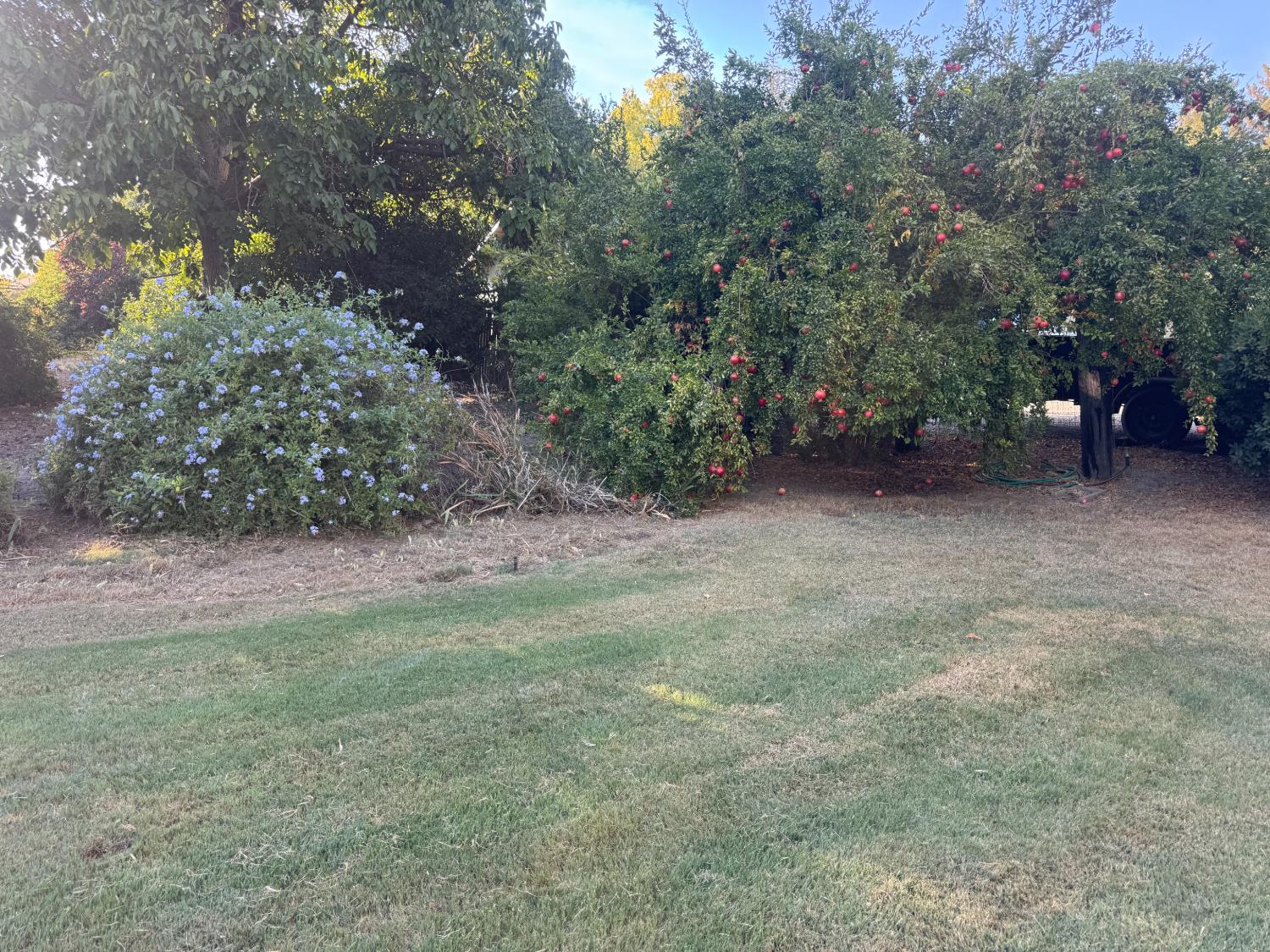 Property photo 44