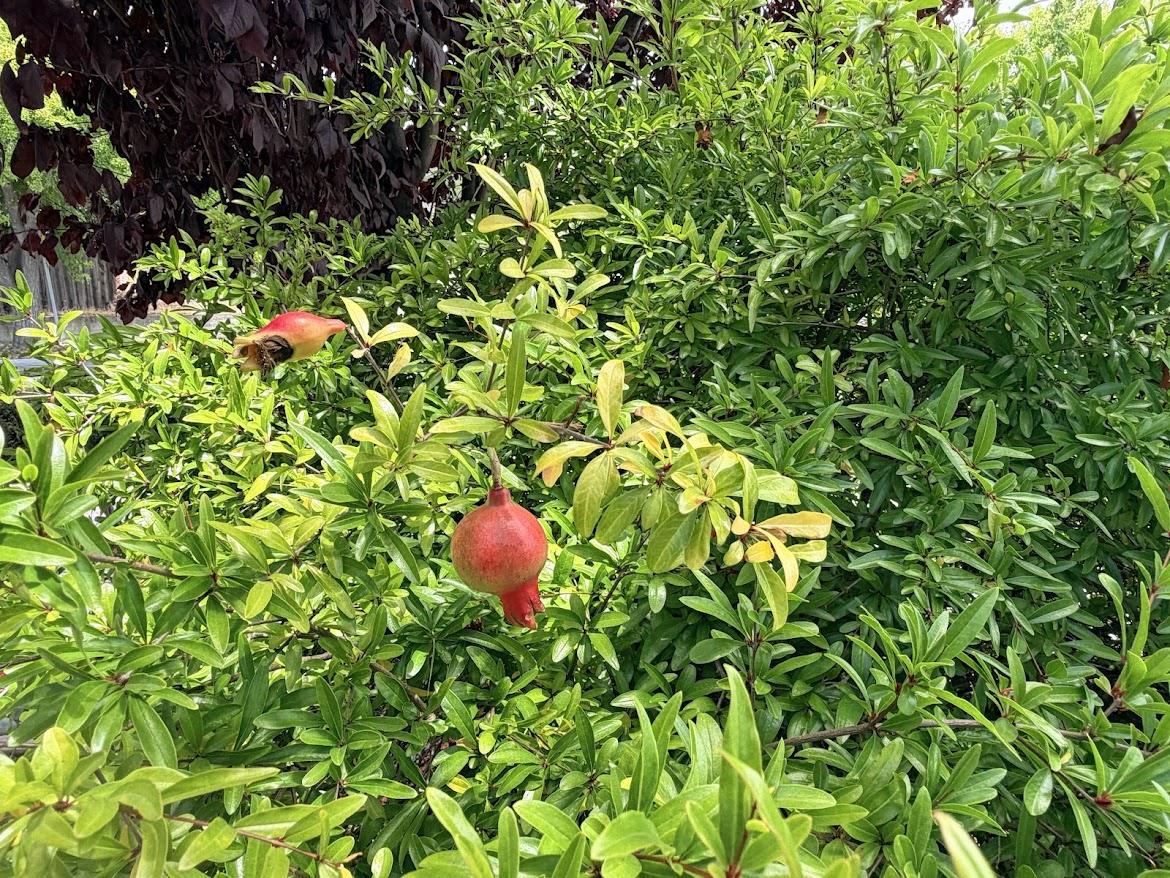 Property photo 51
