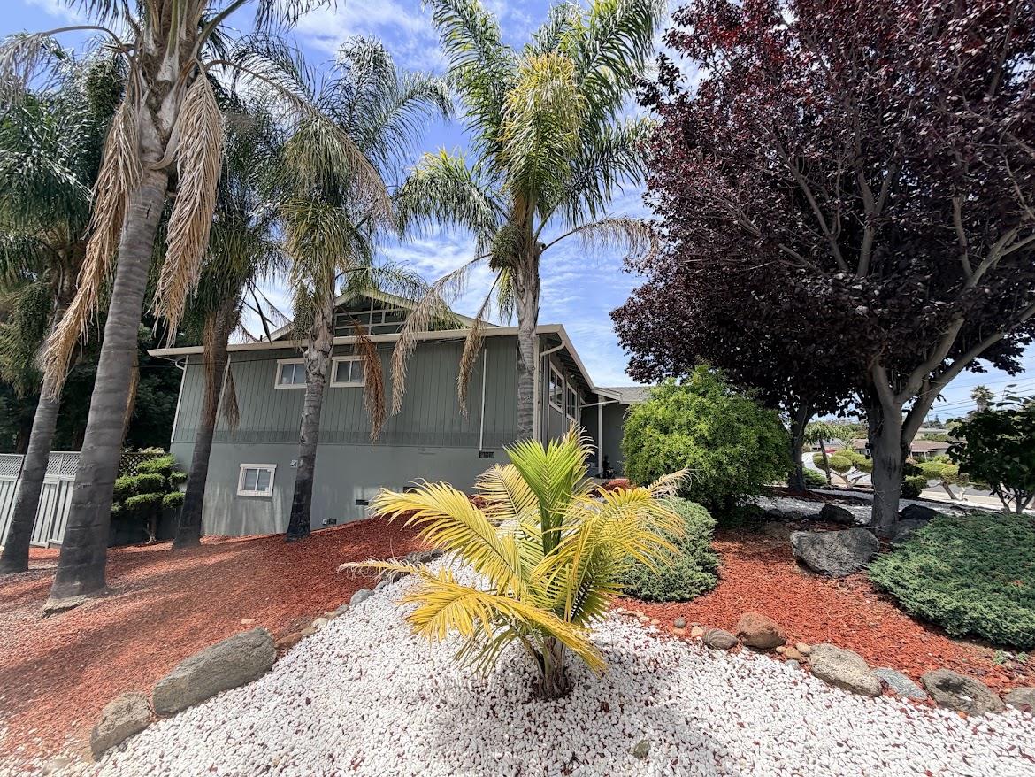 Property photo 41