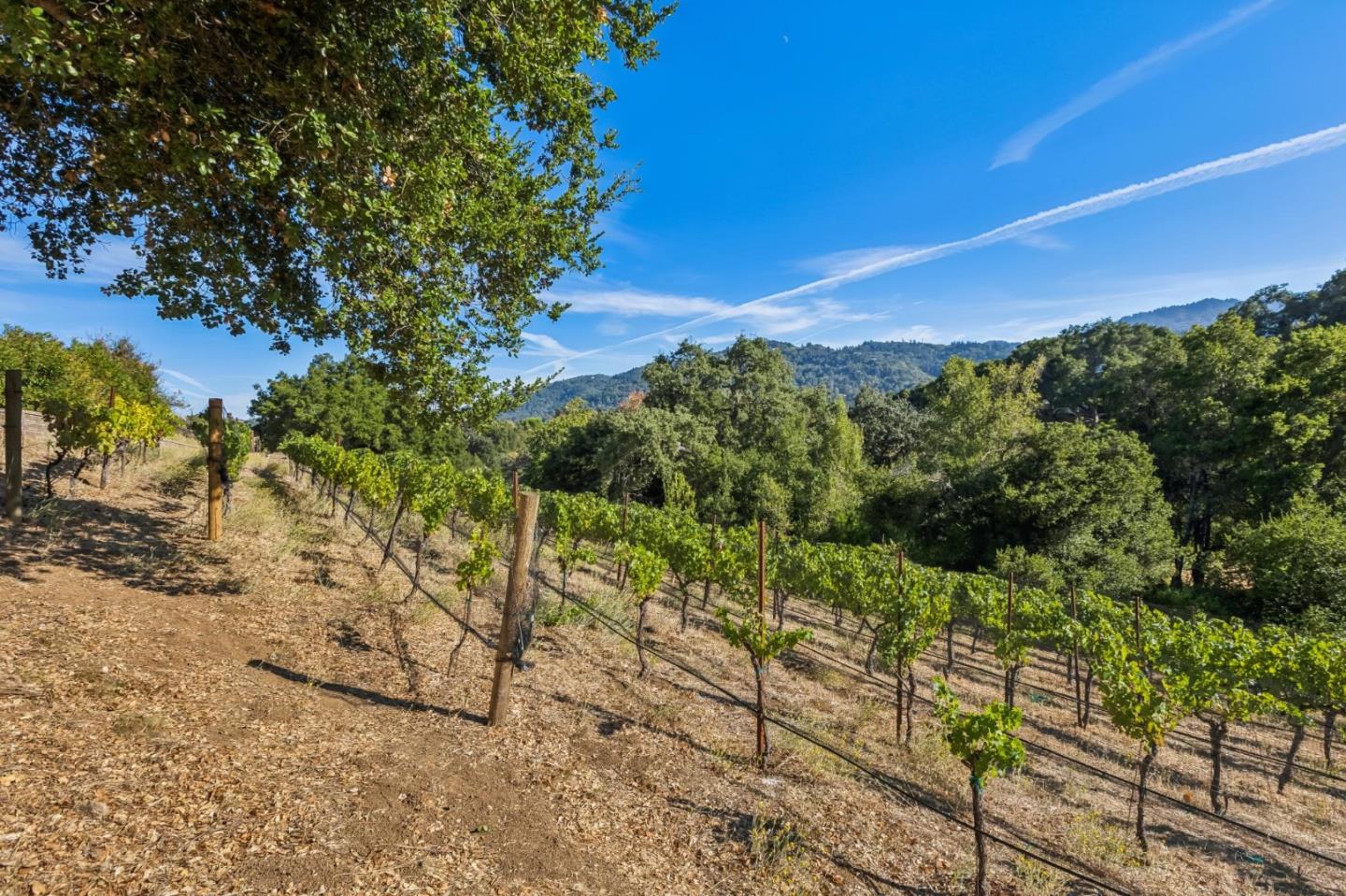 Property photo 30