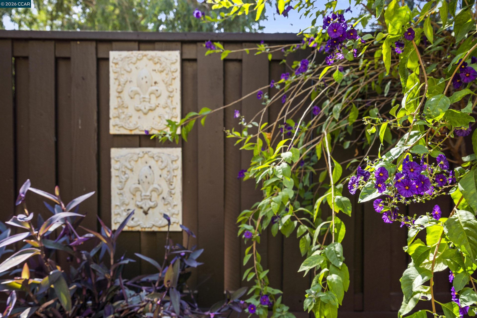 Property photo 41