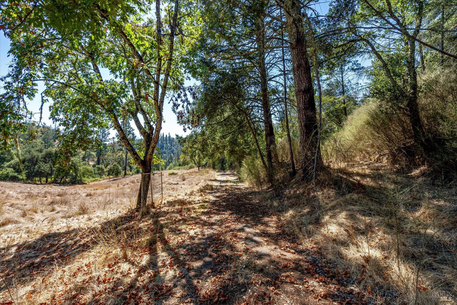 Property photo 19