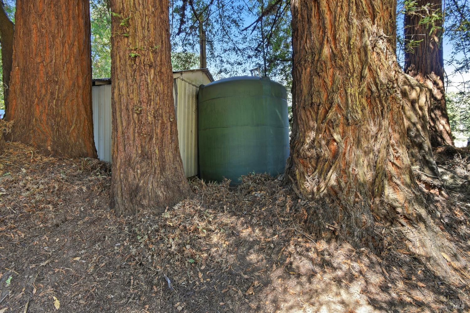 Property photo 44