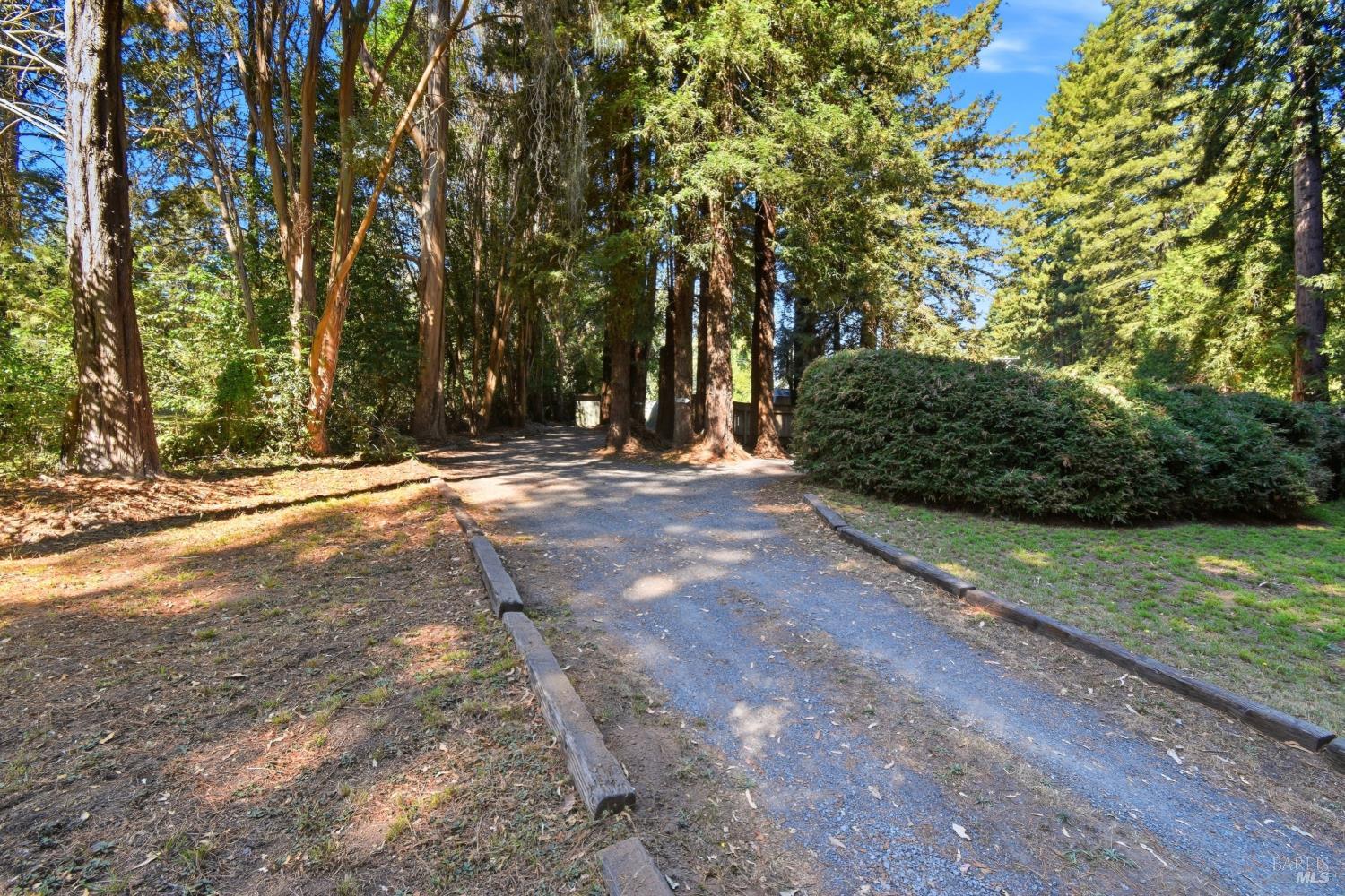 Property photo 46