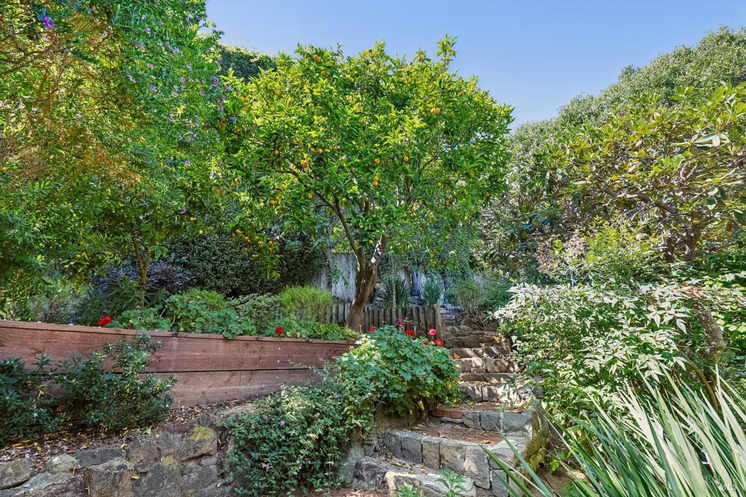 Property photo 39